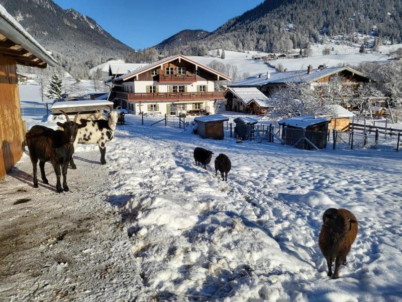 Gaestehaus Hinterponholz Ramsau bei Berchtesgaden